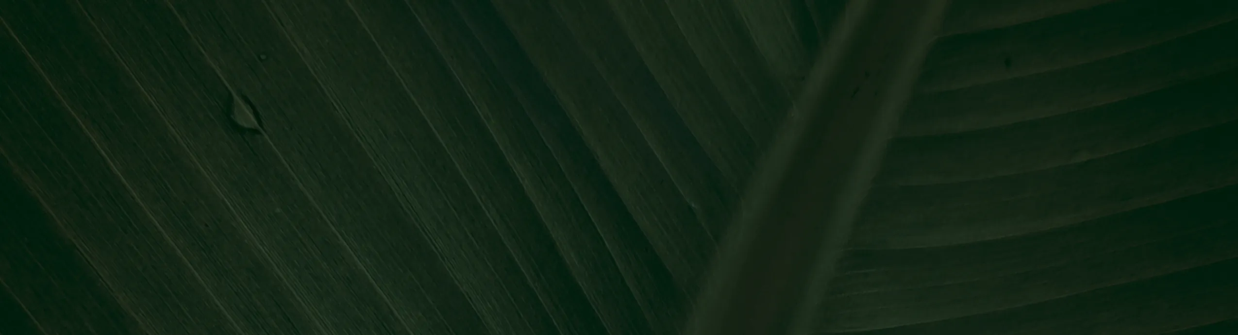 ☕✨ CAFETERA ITALIANA DE ACERO INOXIDABLE – 9 TAZAS ESPRESSO