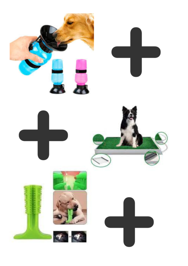 🐶💥 SUPER COMBO PARA PERROS GRANDES