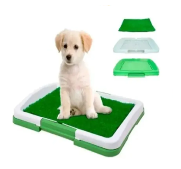 🐾 Tapete Baño Entrenador Para Mascotas – 3 Niveles | 47 x 34 cm