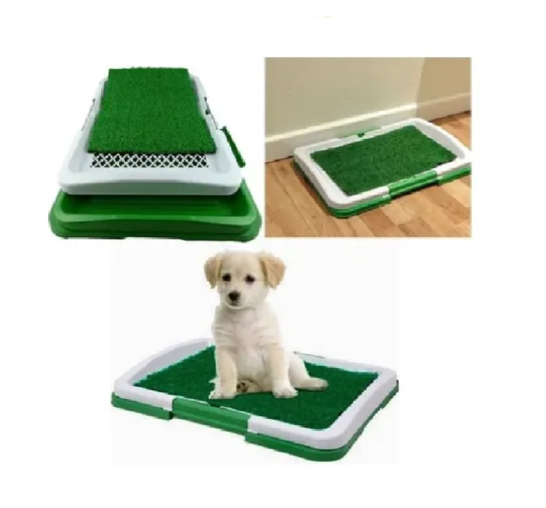 🐾 Tapete Baño Entrenador Para Mascotas – 3 Niveles | 47 x 34 cm