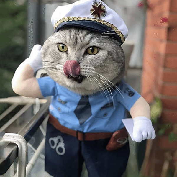 🐾 DISFRAZ DE POLICÍA PARA MASCOTAS – EL HÉROE MÁS TIERNO DEL HOGAR 🚓