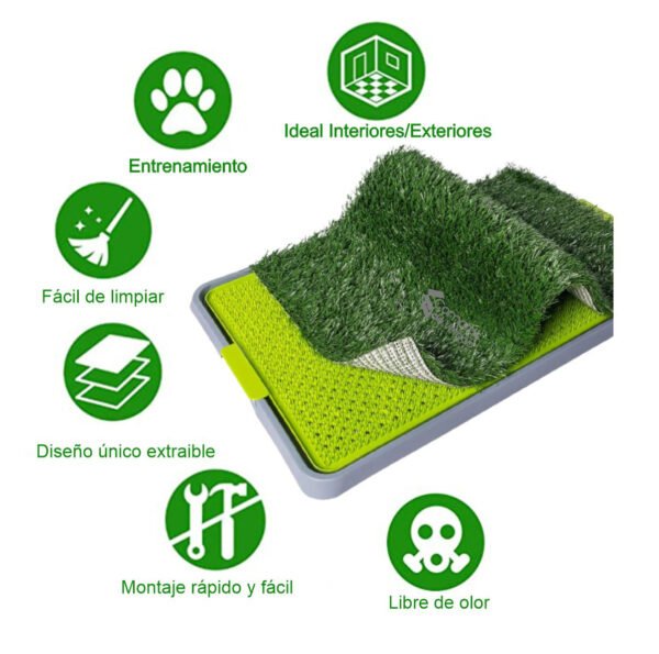 🐶✨ COMBO: Tapete de Entrenamiento para Perro + Cepillo Removedor de Pelo
