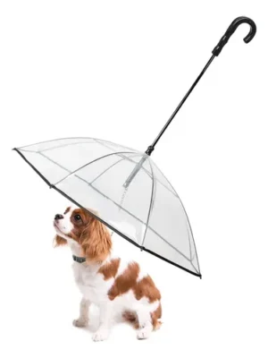 🐶☔ Paraguas para Mascotas – Mantén a tu Perro Seco Bajo la Lluvia y Nieve